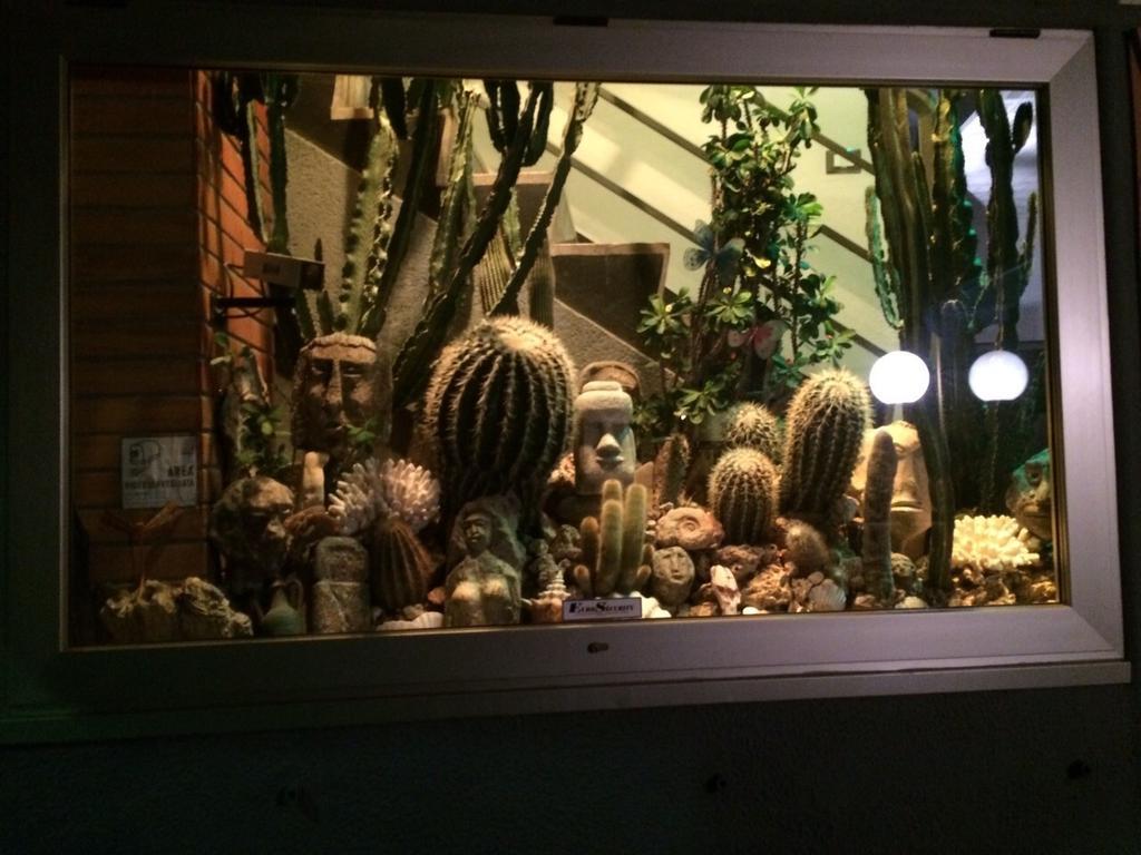 Residence Dei Fiori Bordighera Kültér fotó